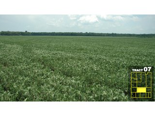 Property photo 39 - Land Auction 1035 Acres In 16 tracts - Farm Land - Sullivan Co. Indiana & Clark Co., Illinois